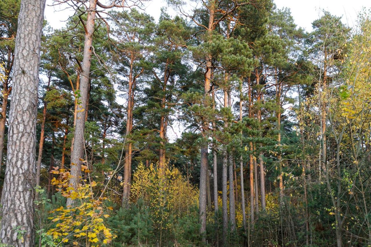 Lat4Rest Lägenhet Prienai Exteriör bild